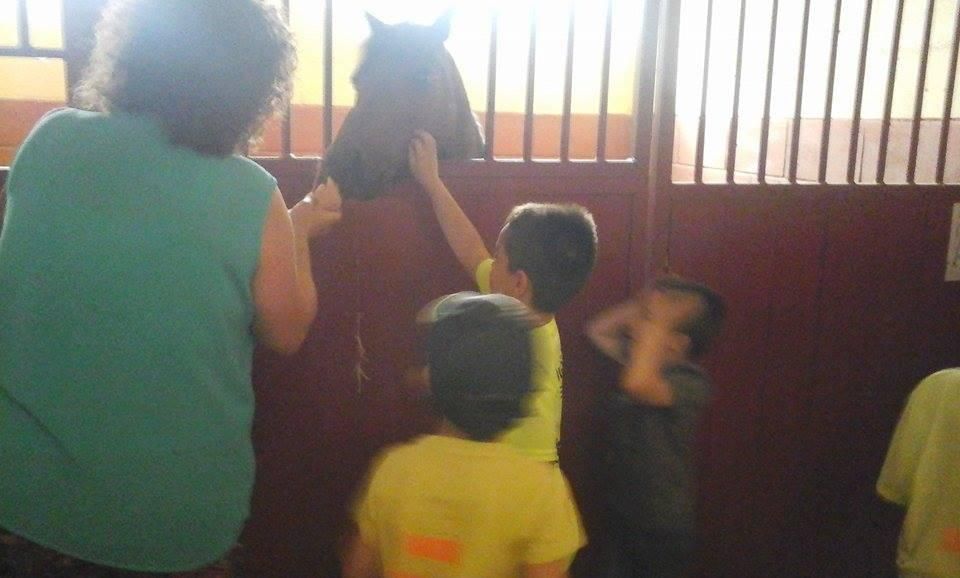 Niños viendo a un caballo 